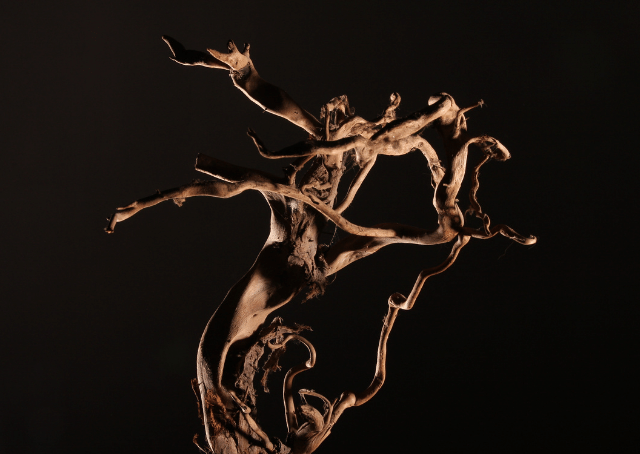 Het gewei van Herne de Jager