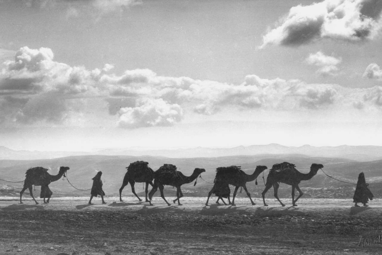 De Geschiedenis van Palestina: Een Land op het Kruispunt van het Geloof