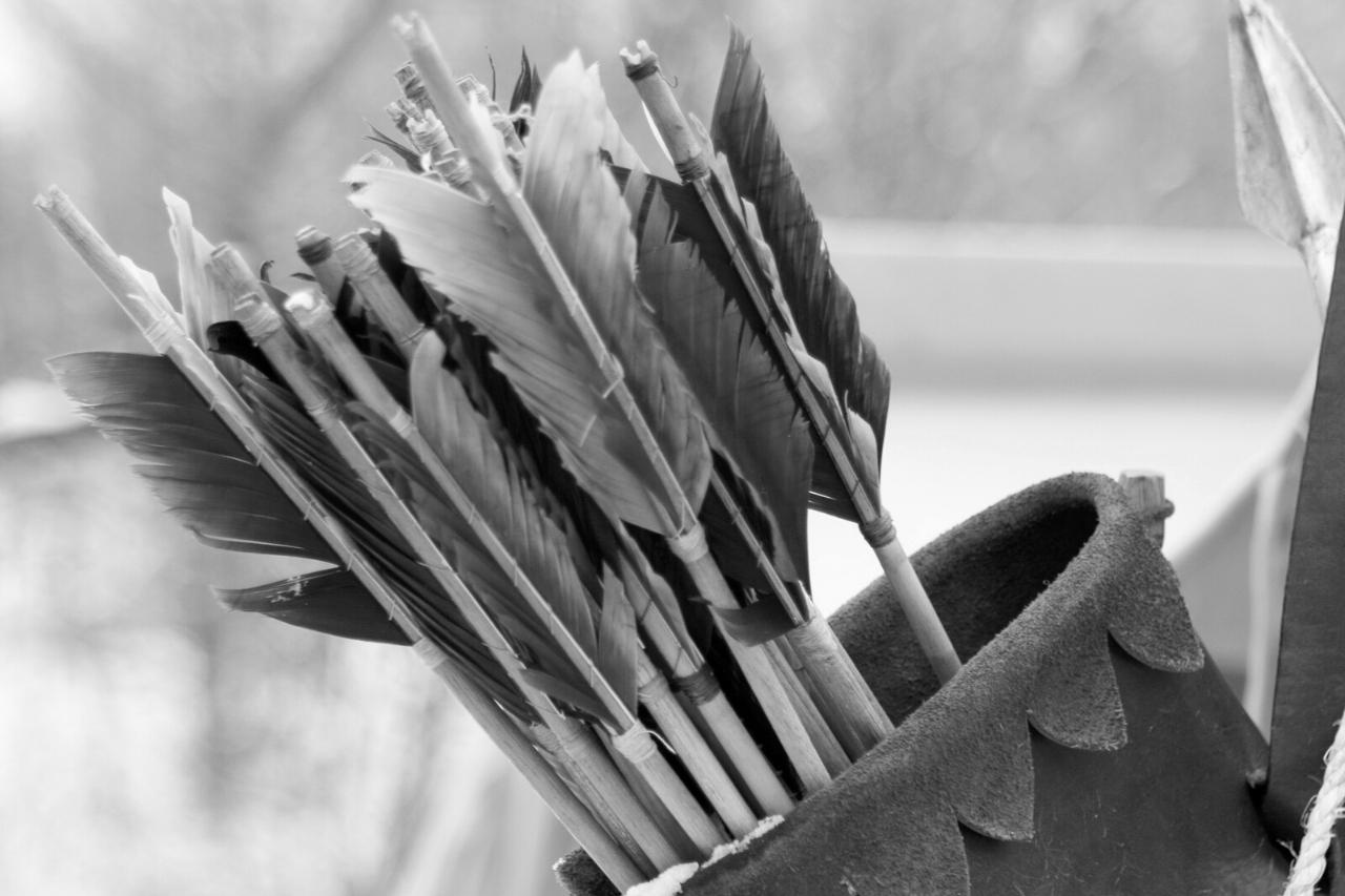 Hoeveel pijlen in een koker? Basisprincipes van bogen en pijlen