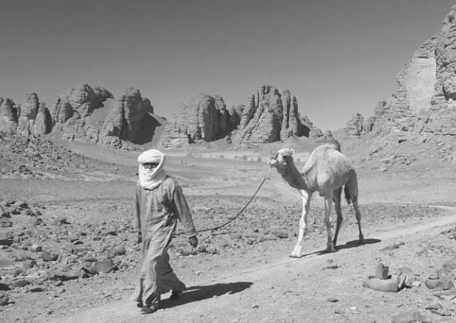 Algerije: Een Geschiedenis van Strijd en Onafhankelijkheid