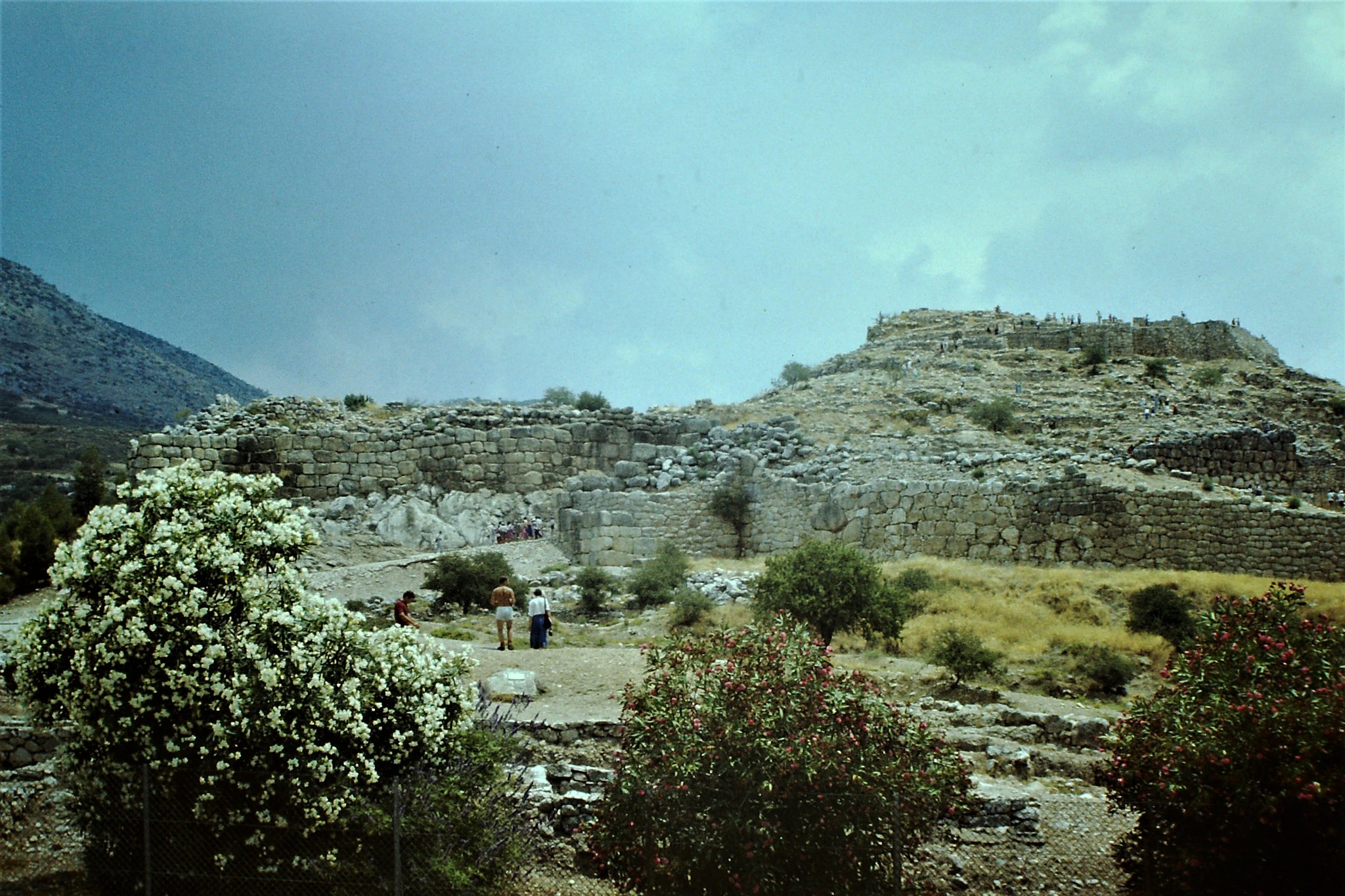 Was Agamemnon de koning van Mycene of Argos?