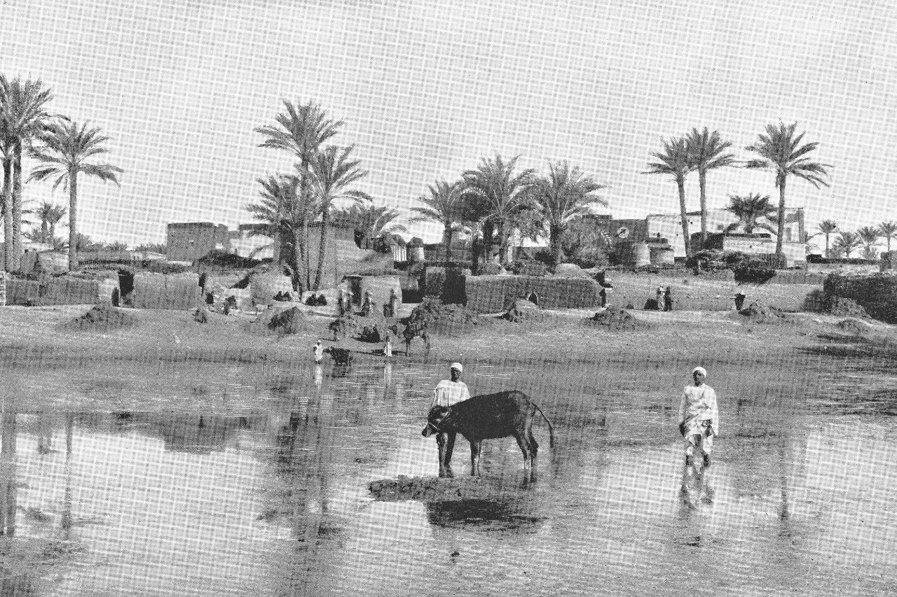 De sociale structuur van het Ottomaanse Rijk: De reden achter de val van het rijk