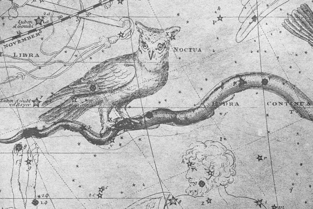 Uilen in de Noordse Mythologie: De God van Wijsheid