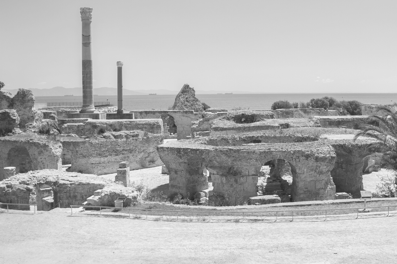 Carthago: De Opkomst en Ondergang van een Fenicische Handelsmacht