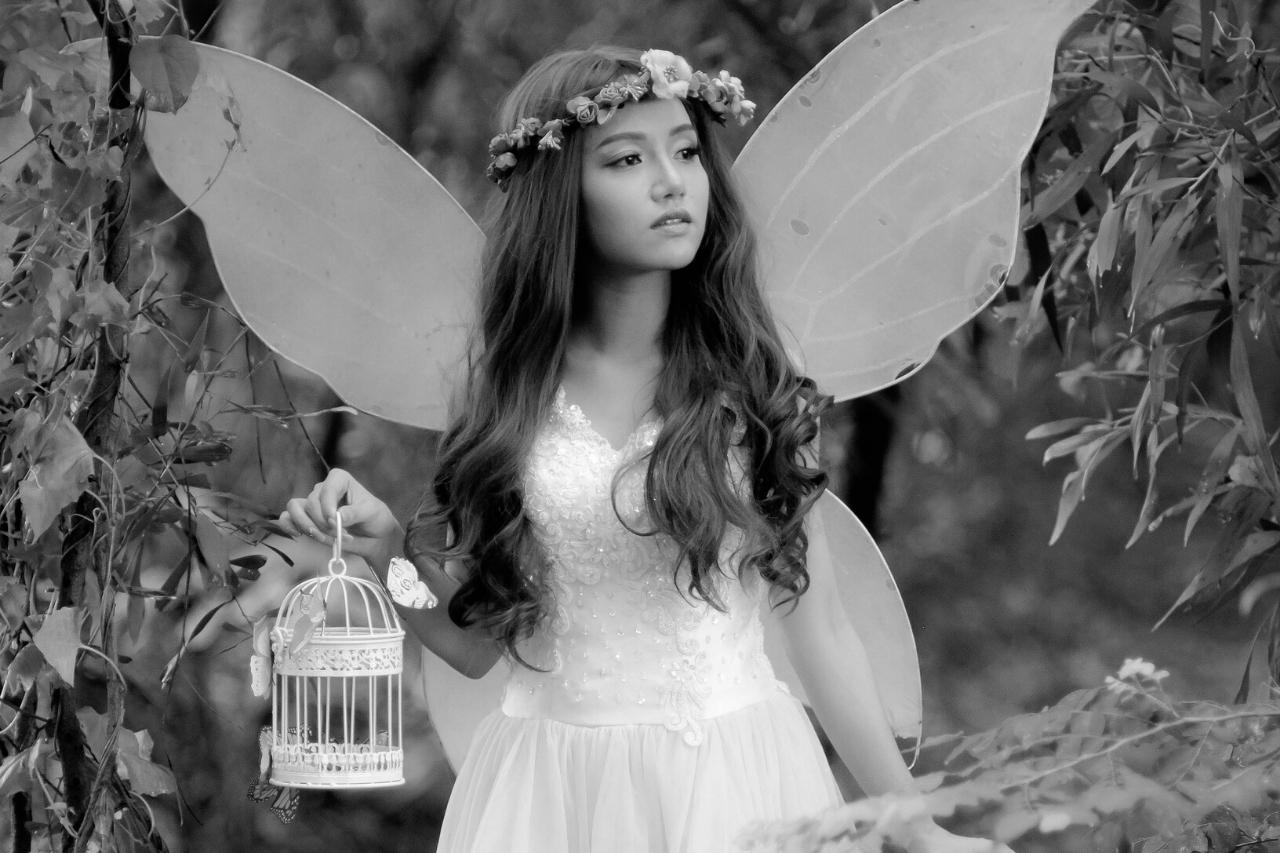 Waarom Verzamelen Tandenfeeën Tanden en Waar Worden Ze Voor Gebruikt?